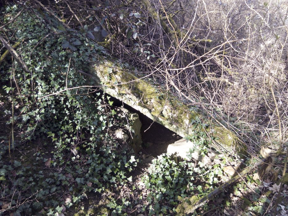 Ligne Maginot - FM86 - WELSCHHOF SUD OUEST - (Blockhaus pour arme infanterie) - Les ruines du bloc