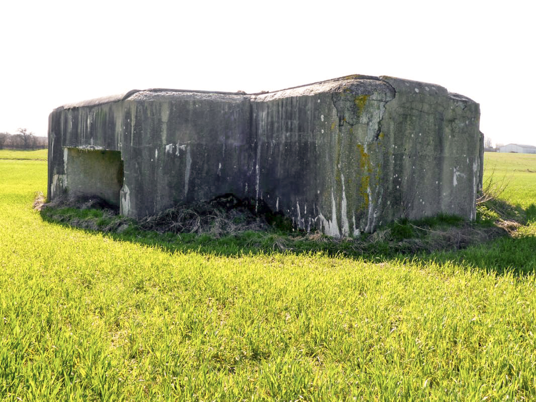 Ligne Maginot - A5 - PONT DE WATOU - (Blockhaus pour canon) - 