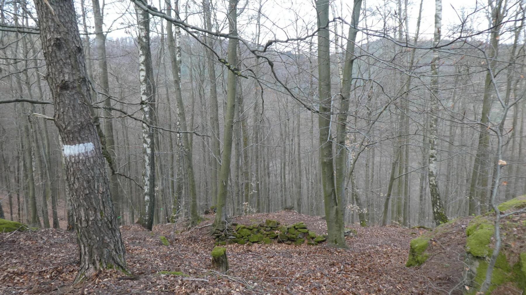 Ligne Maginot - HAUT-WARSBERG (POINT D'APPUI) - (Divers) - Reste d'organisations défensives