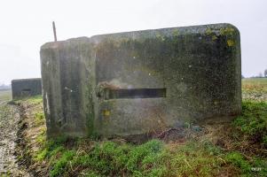 Ligne Maginot - B50 - MOULIN DU RHIN 3 - (Blockhaus pour arme infanterie) - 