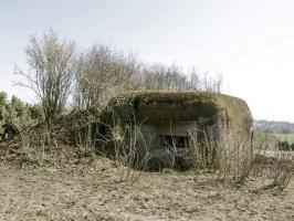 Ligne Maginot - B170 - VLENINKHOF EST - (Blockhaus pour canon) - 