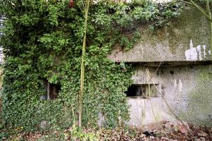Ligne Maginot - B314 - GRUSON SUD - (Blockhaus pour canon) - 