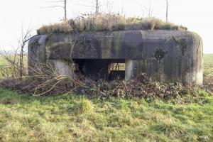 Ligne Maginot - B343 - BOIS de BERCU Nord (Blockhaus pour canon) - 