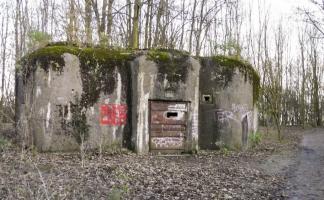 Ligne Maginot - B303 - Le FOREST (Blockhaus pour canon) - 