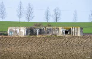 Ligne Maginot - BEF 667 - QUENPOINNE Nord (Blockhaus pour canon) - 