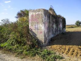 Ligne Maginot - BEF 294 - L'EPINE NORD OUEST - (Blockhaus pour canon) - 