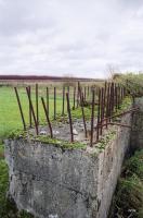 Ligne Maginot - BEF 665 - CHAPELLE AUX ARBRES 5 - (Blockhaus pour arme infanterie) - 