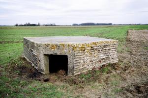 Ligne Maginot - BEF 659 - L'ARBRE (Blockhaus pour arme infanterie) - 