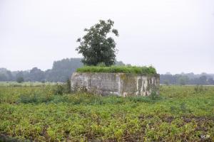 Ligne Maginot - BEF 571A - CRINQUET EST 1 - (Blockhaus pour arme infanterie) - 