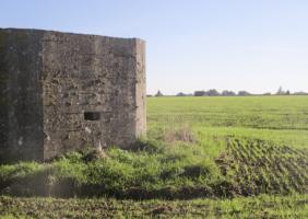 Ligne Maginot - BEF 632 - LA COUR - (Blockhaus pour arme infanterie) - A l'arrière blockhaus Grand Ridoir.