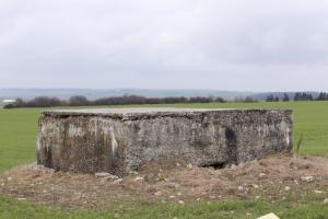 Ligne Maginot - BININGERWIESE 3 - (Blockhaus pour arme infanterie) - L’entrée