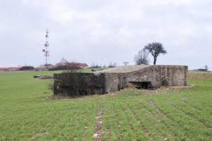 Ligne Maginot - BININGERWIESE 4 - (Blockhaus pour arme infanterie) - Vue générale