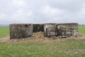 Ligne Maginot - BININGERWIESE 6 - (Blockhaus pour arme infanterie) - L'entrée