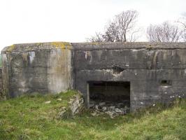 Ligne Maginot - BREITENWEG EST - (Blockhaus pour canon) - 