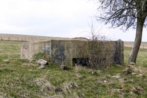 Ligne Maginot - DELLWIESE OUEST - (Blockhaus pour arme infanterie) - Façade de tir