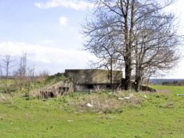 Ligne Maginot - BREITWIESE 3 - (Blockhaus pour arme infanterie) - Vue générale