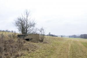 Ligne Maginot - ESCHER Ouest (Blockhaus pour arme infanterie) - Vue générale