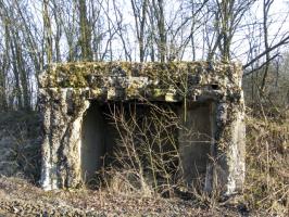 Ligne Maginot - HAMMELSWIESE 2 - (Blockhaus pour arme infanterie) - L'entrée