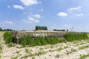 Ligne Maginot - BEF 721 - LE MOULIN à L'HUILE - (Blockhaus pour arme infanterie) - Le blockhaus est partiellement remblayé
