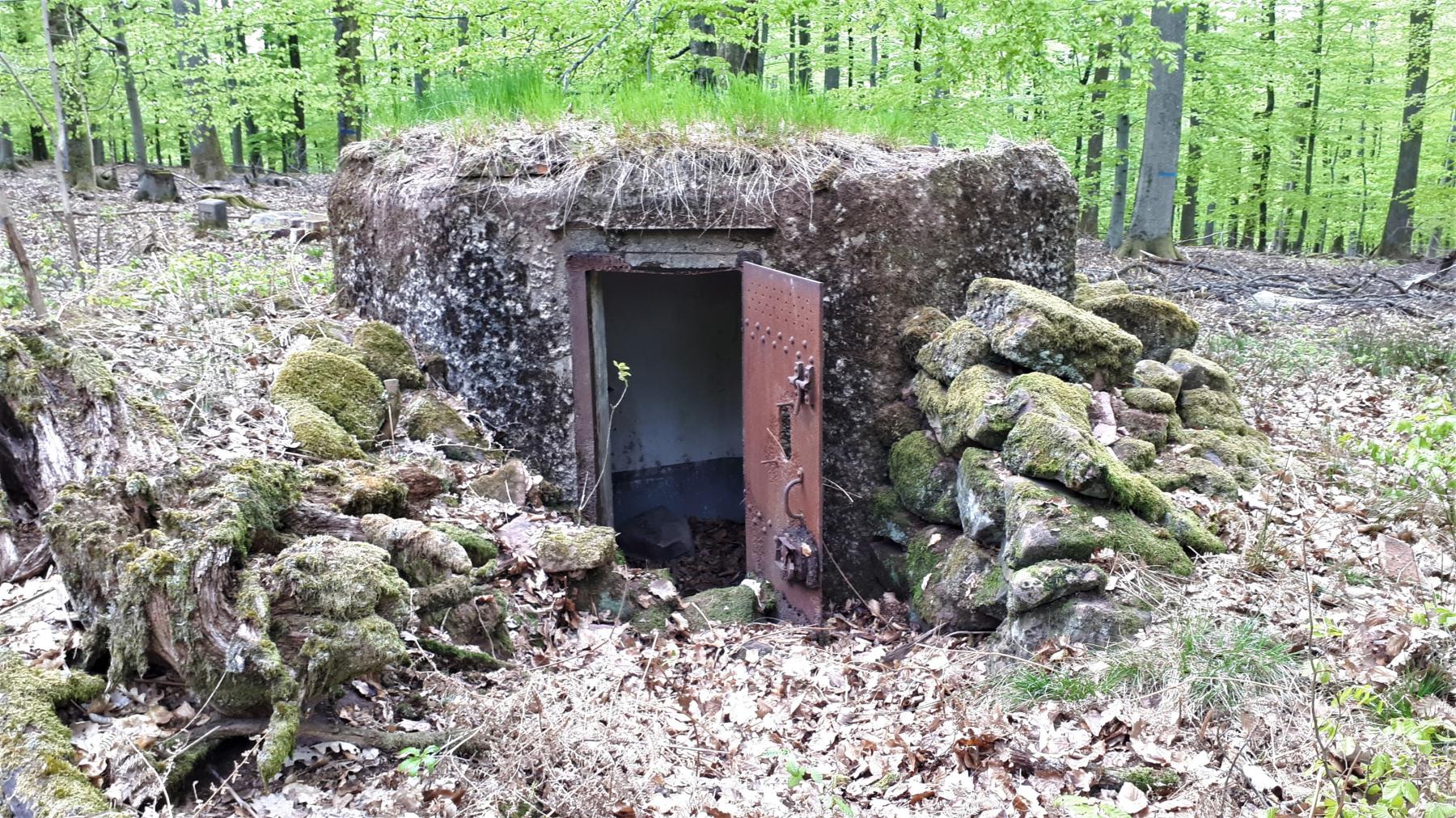 Ligne Maginot - FM36 - HOHLSTEIN 2 - (Blockhaus pour arme infanterie) - Entrée