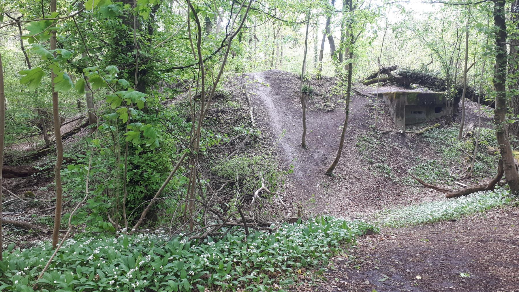 Ligne Maginot - OBERJAEGERHOFF - (Abri) - La remblais bien visible de l'ancienne redoute et la chambre de tir pour mitrailleuses