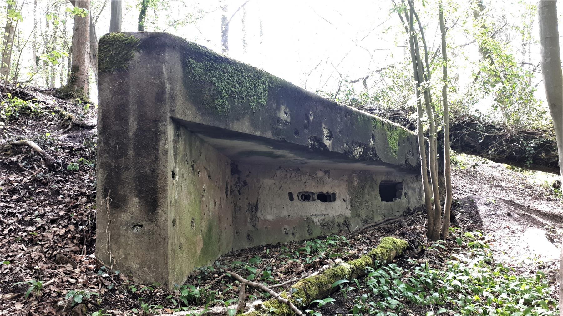 Ligne Maginot - OBERJAEGERHOFF - (Abri) - La chambre de tir pour mitrailleuses