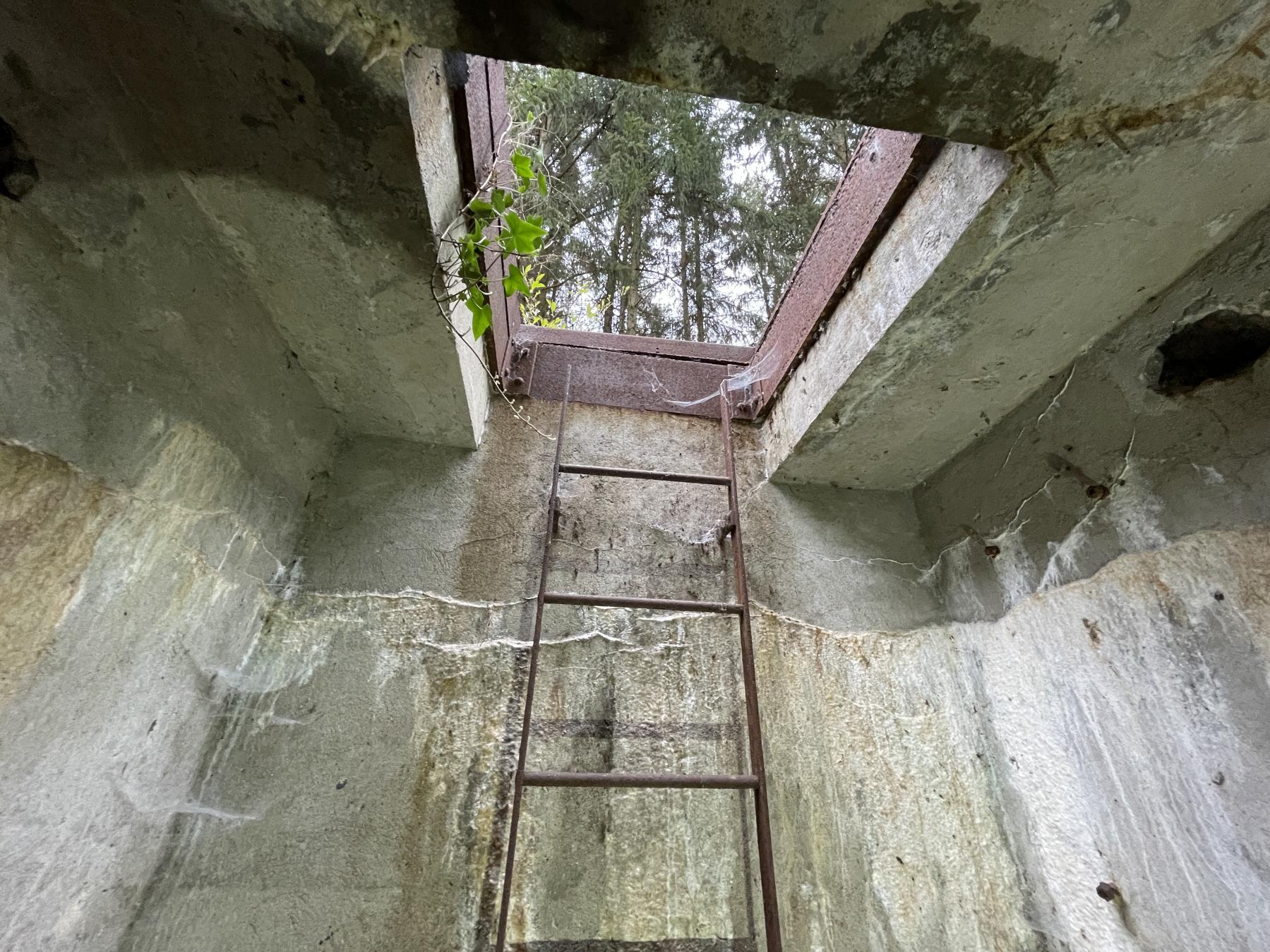 Ligne Maginot - UX1 - (Chambre de coupure) - L'échelle et le puits d'accès vu depuis le fond du local