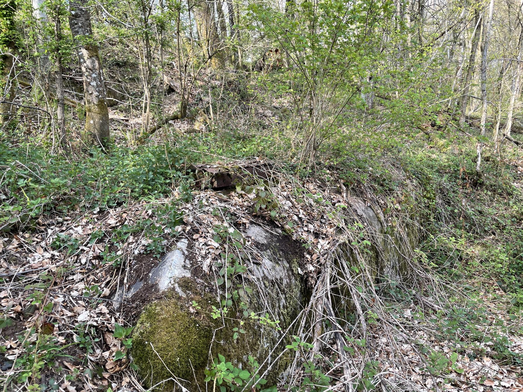 Ligne Maginot - BV1 - (Chambre de coupure) - 2021 - La chambre de coupure disparait dans la végétation