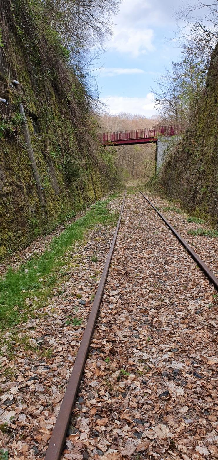 Ligne Maginot - VF60 - ANTENNE DE L'OUVRAGE DU SIMSERHOF - (RESEAU - Voie 60 - Antenne ou rocade ferroviaire) - LEMBERG - Katzenfelden
Pont ferroviaire voie de 60 au-dessus de la VN