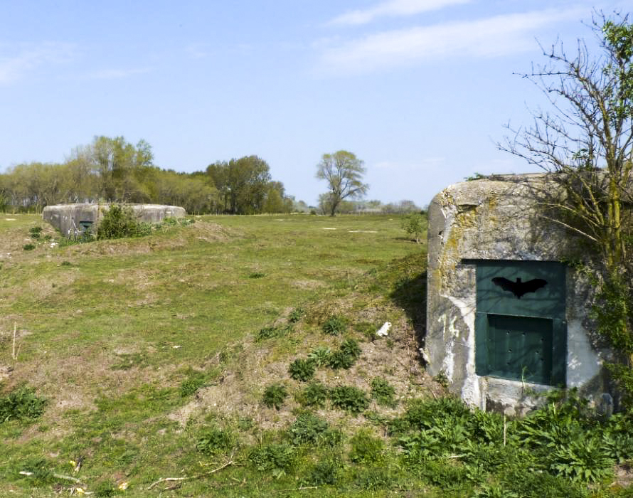Ligne Maginot - B40 - BASSE PLAINE 11 - (Blockhaus pour arme infanterie) - 