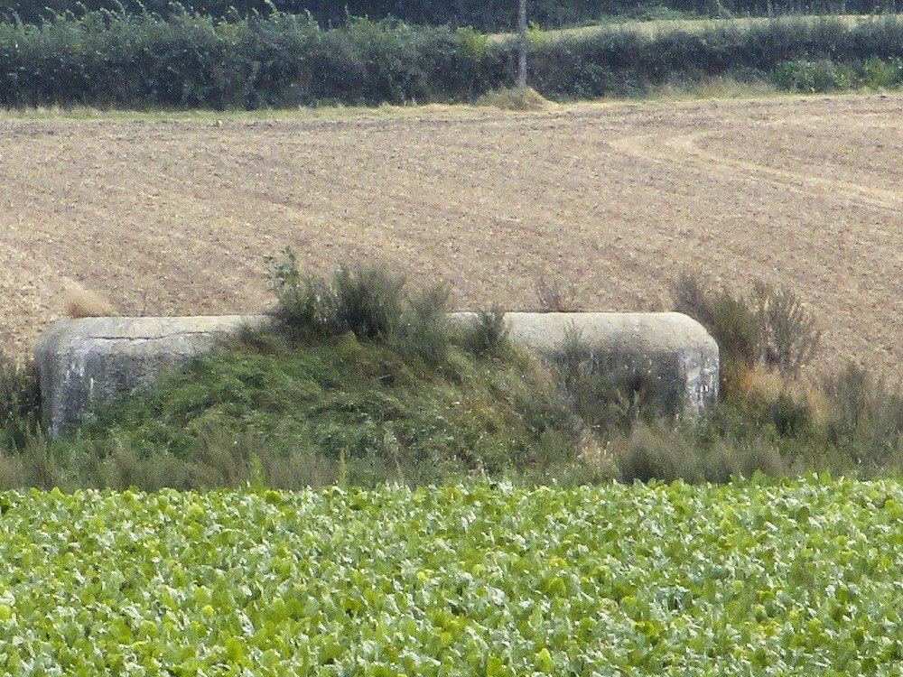 Ligne Maginot - B106 - SAINT ELOI (Blockhaus pour canon) - Vue prise depuis le chemin des Cendres.