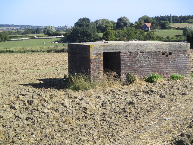 Ligne Maginot - B142 - GODEWAERSVELDE Sud (Blockhaus pour arme infanterie) - Situé dans son environnement
Vue prise depuis le chemin de terre venant de la route de l'Abbaye.
