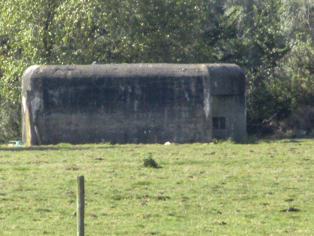 Ligne Maginot - B209 - FORCEVILLE (Blockhaus pour canon) - Visible de la GR 121B.