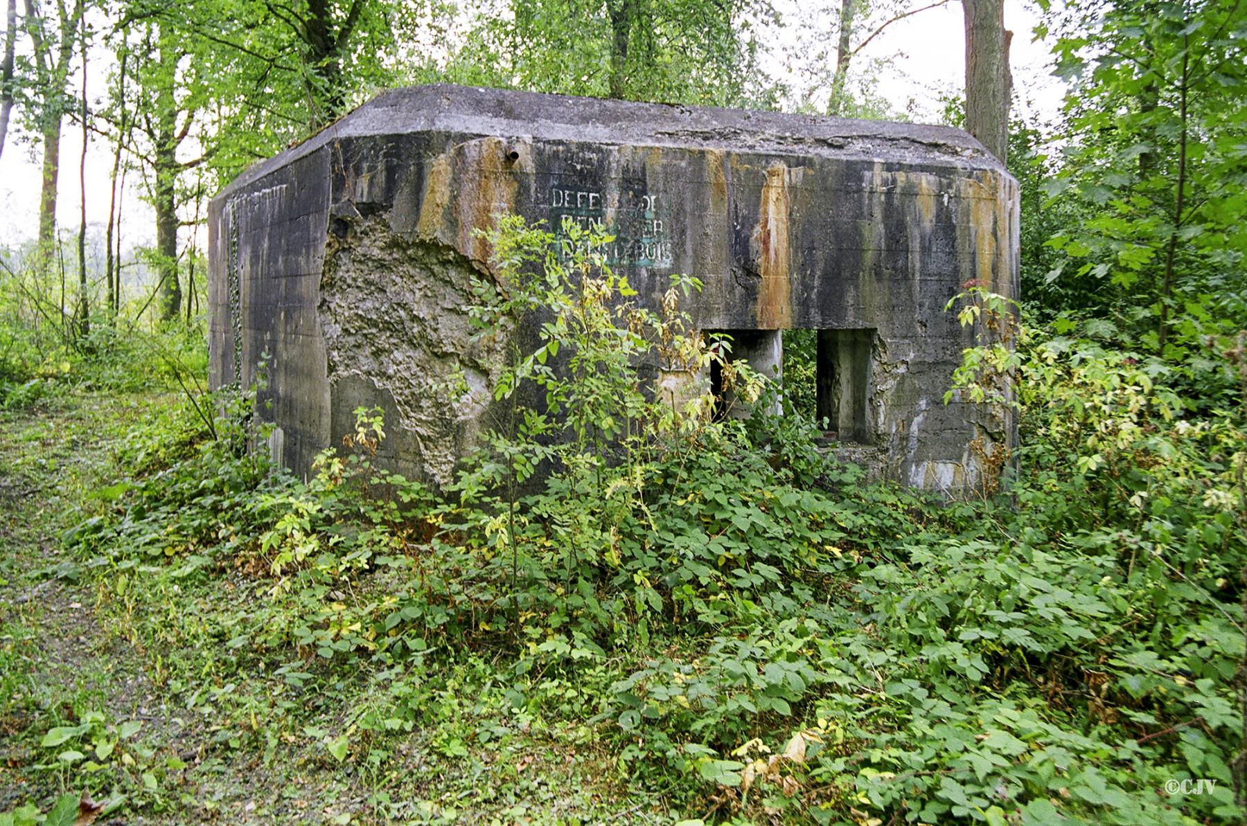 Ligne Maginot - BEF 301 - BOIS de la TASSONNIERE (Blockhaus pour canon) - 