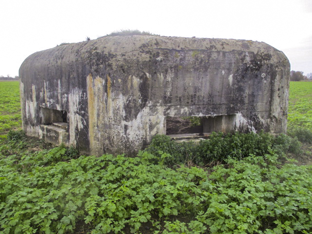 Ligne Maginot - B366BIS - LE ROTELEUX - (Blockhaus pour arme infanterie) - 