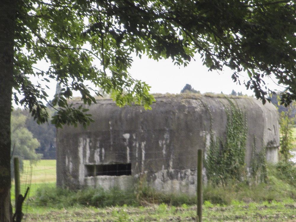 Ligne Maginot - B255 - TRIEZ CAILLOUX - (Blockhaus pour canon) - B255 - TRIEZ-CAILLOUX vu depuis la rue du Chemin vert.