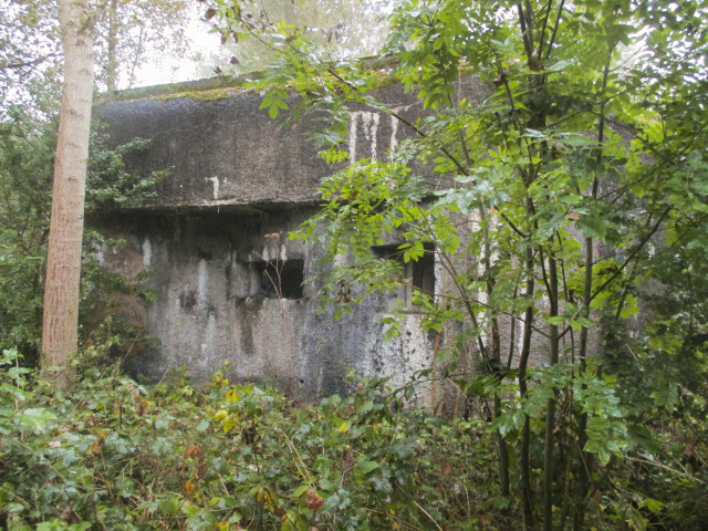 Ligne Maginot - B323 - LOUVIL (Blockhaus pour canon) - 