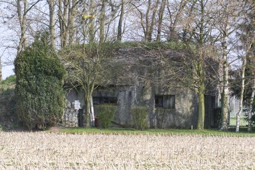 Ligne Maginot - B345 - BERCU PONT d'OR (Blockhaus pour canon) - 