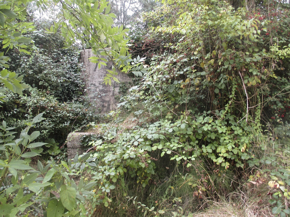 Ligne Maginot - BEF 240 - Les CANDRELEUX (Blockhaus pour arme infanterie) - Encerclé de broussailles et arbustes