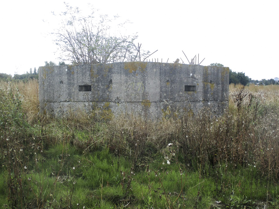 Ligne Maginot - BEF 272 - DRONKAERT NORD 1 - (Blockhaus pour arme infanterie) - DRONKAERT NORD 1 (BEF) vu depuis le chemin pavé des Meurins.