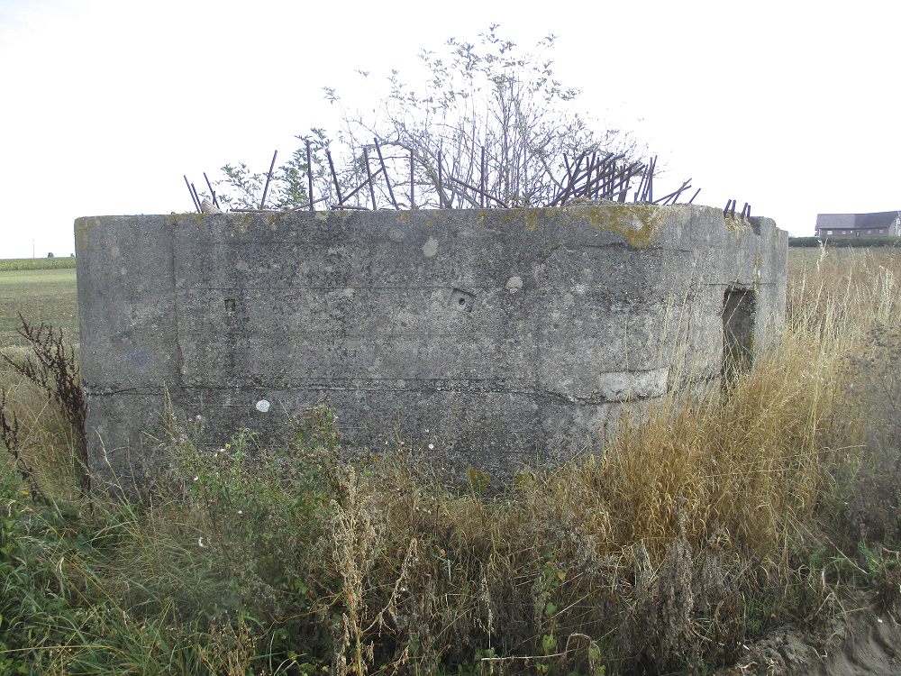 Ligne Maginot - BEF 272 - DRONKAERT NORD 1 - (Blockhaus pour arme infanterie) - 