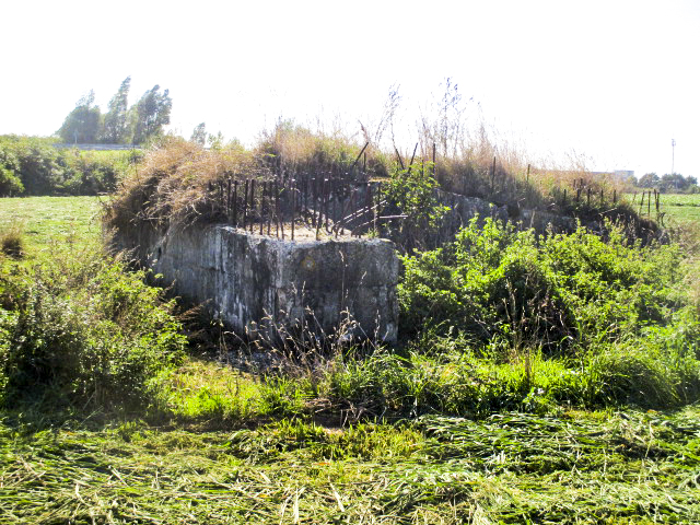 Ligne Maginot - BEF 665 - CHAPELLE AUX ARBRES 5 - (Blockhaus pour arme infanterie) - Blockhaus dans son environnement.
