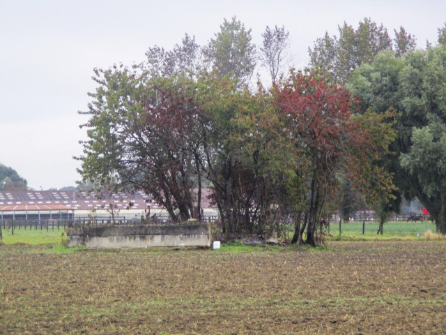 Ligne Maginot - BEF 340 - BLONDE-RUE SUD - (Blockhaus pour canon) - Blockhaus situé dans son environnement.