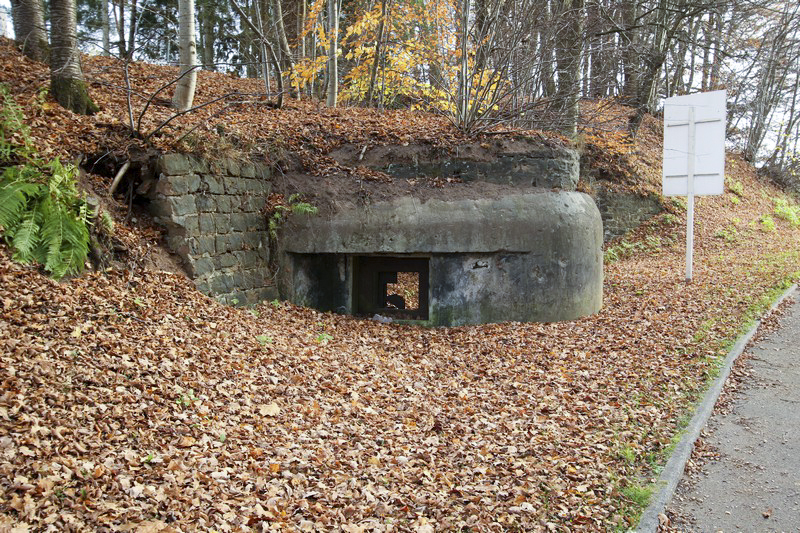 Ligne Maginot - WOLFSGARTEN (Blockhaus pour canon) - 