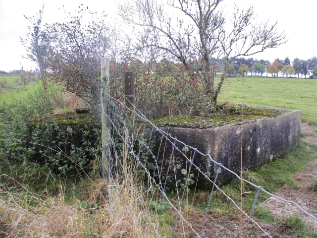 Ligne Maginot - BEF 397 - BOIS DES AULNOIS NORD 1 - (Blockhaus pour arme infanterie) - Le  blockhaus situé dans un pré empiète sur le chemin de terre