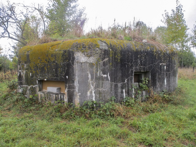 Ligne Maginot - BEF 417 - FOSSE TREHOIRE SUD - (Blockhaus pour arme infanterie) - 