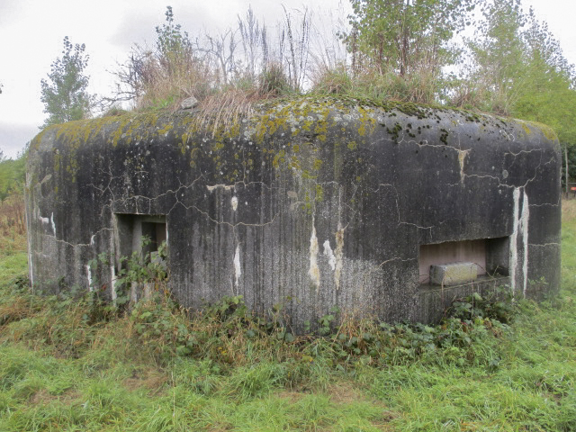 Ligne Maginot - BEF 417 - FOSSE TREHOIRE SUD - (Blockhaus pour arme infanterie) - 