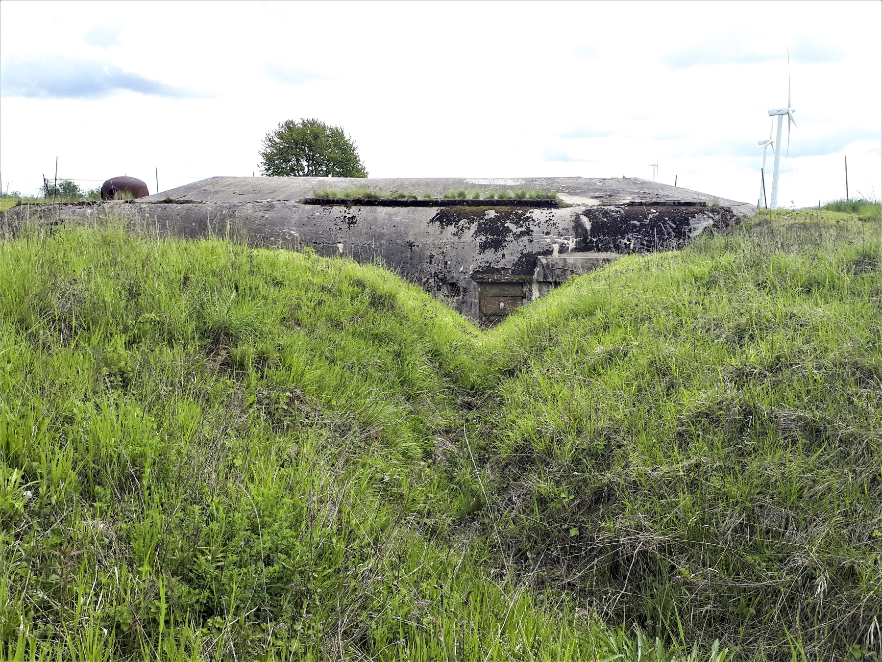 Ligne Maginot - BAMBIDERSTROFF SUD - C71 - (Casemate d'infanterie) - Tranchée d'accès à la casemate
