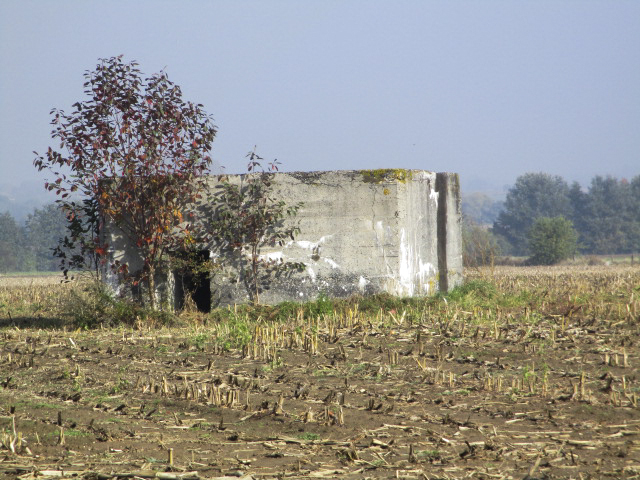 Ligne Maginot - BEF 568B - CRINQUET OUEST 2 - (Blockhaus pour arme infanterie) - Situé dans un champ cultivé, à gauche de la D 995 se dirigeant vers Planard.