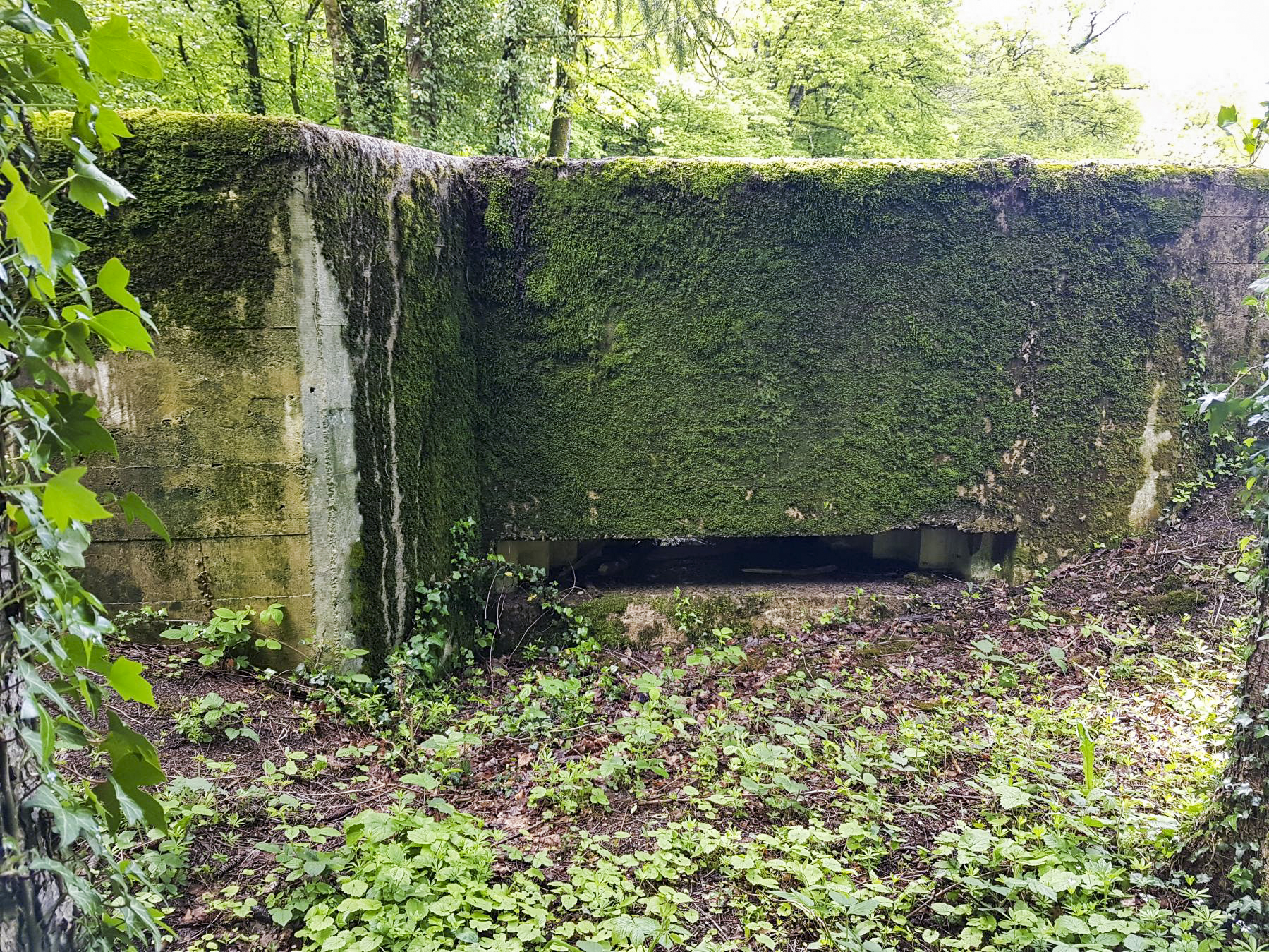 Ligne Maginot - F52 - PONT DE L'ALOUETTE EST - HS106 - (Blockhaus pour canon) - Le créneau pour canon